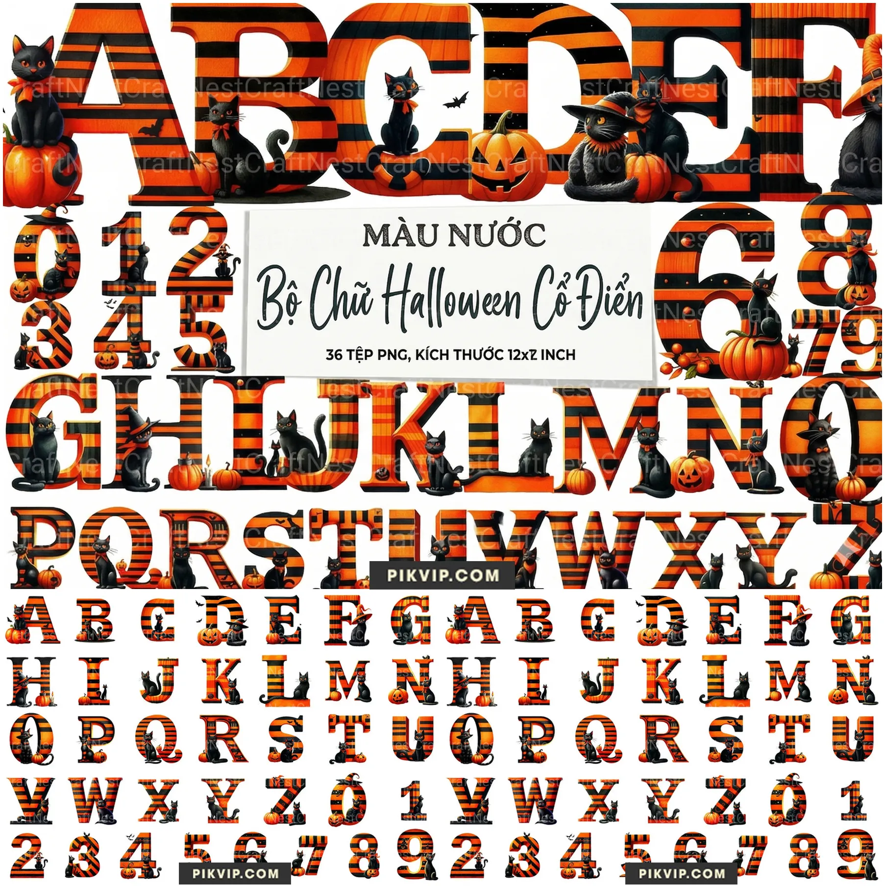 Bảng Chữ Cái Halloween Cổ Điển Mèo Đen Và Sọc Cam