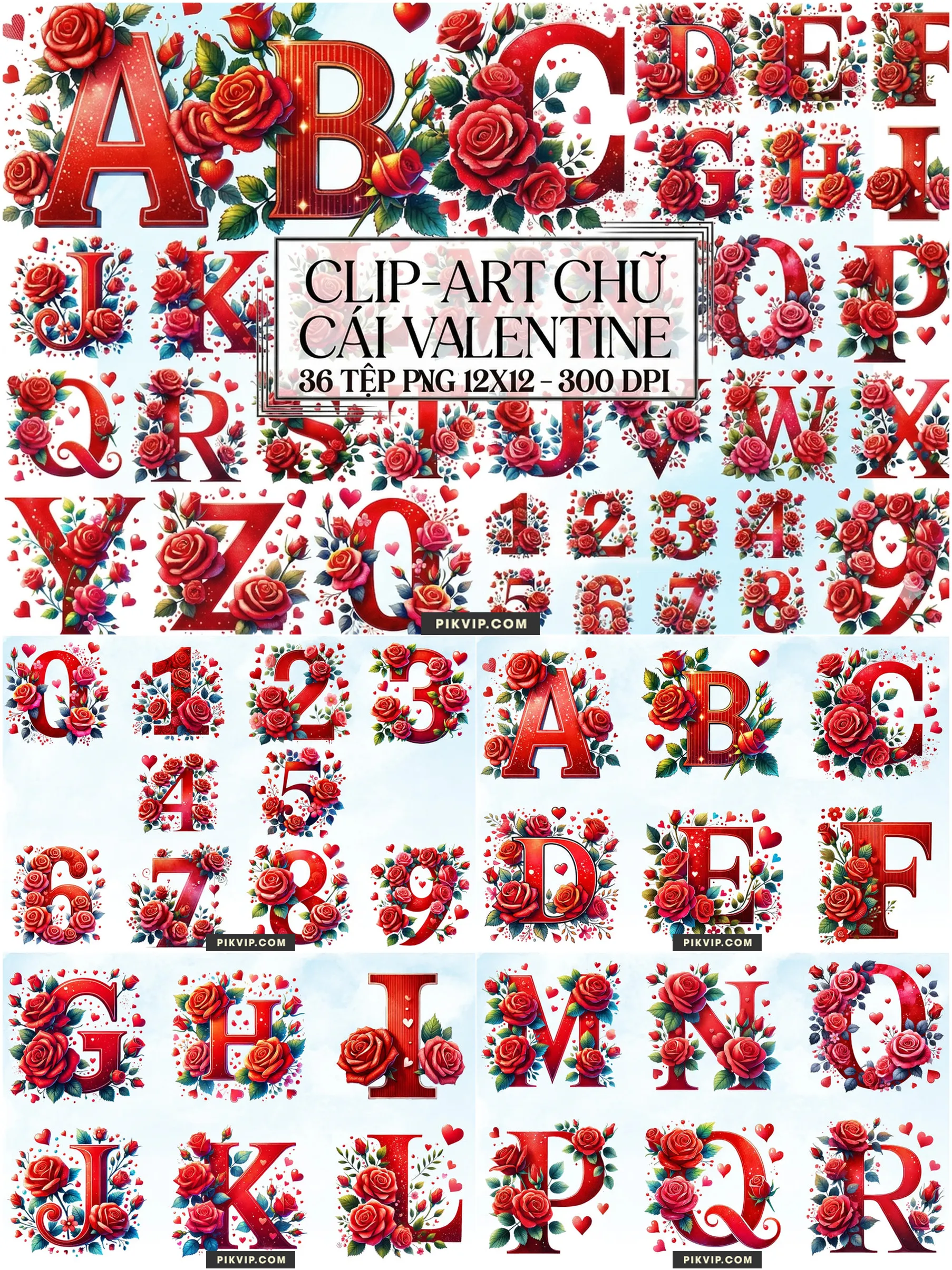 Bảng Chữ Cái Valentine Hoa Hồng Đỏ Lãng Mạn PNG